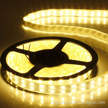 Waterproof DC12V 5m/reel SMD 5050 120LEDs/m LED strip light double row